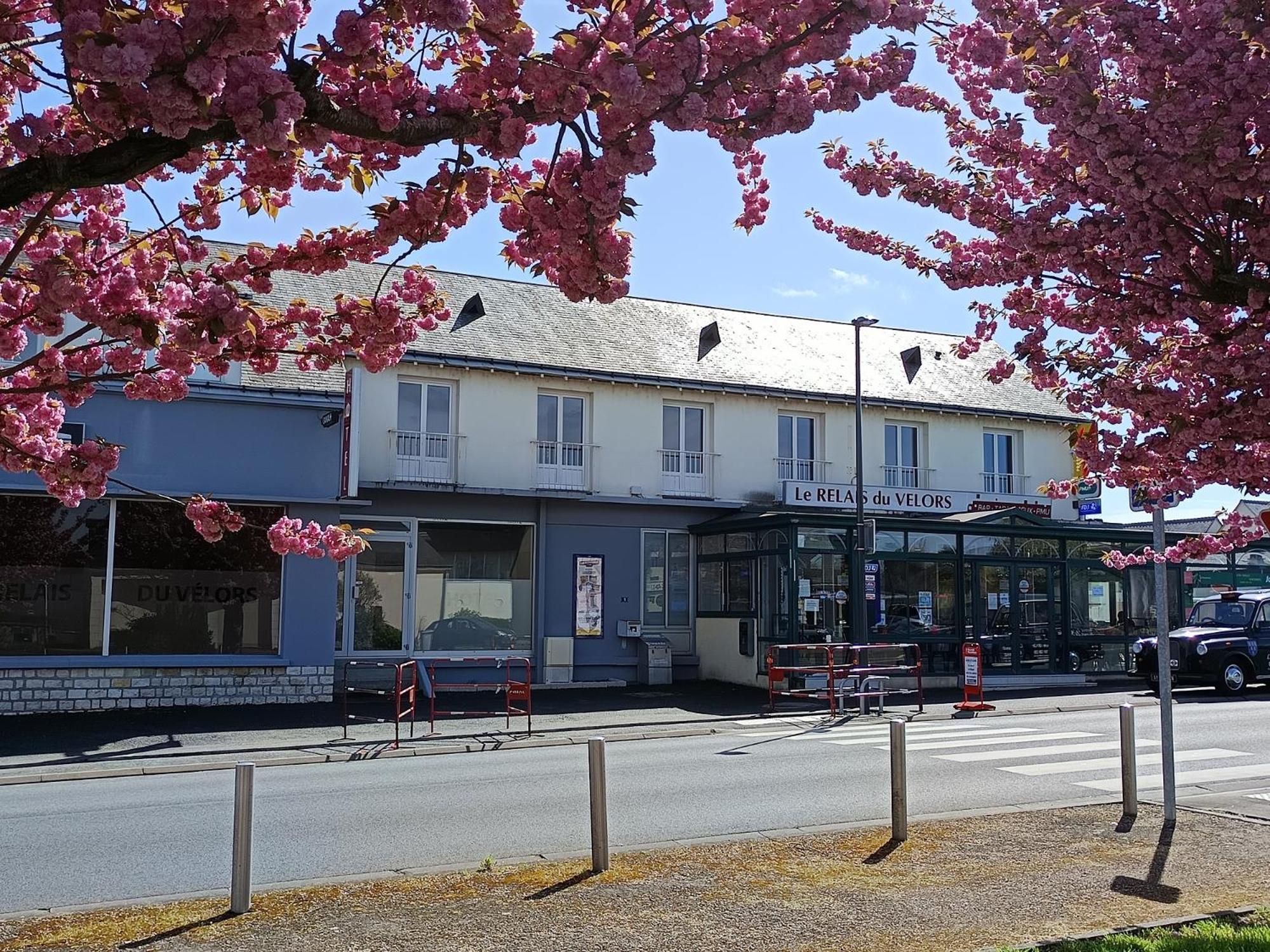 Le Relais Du Velors Hotel Beaumont-en-Veron Exterior photo